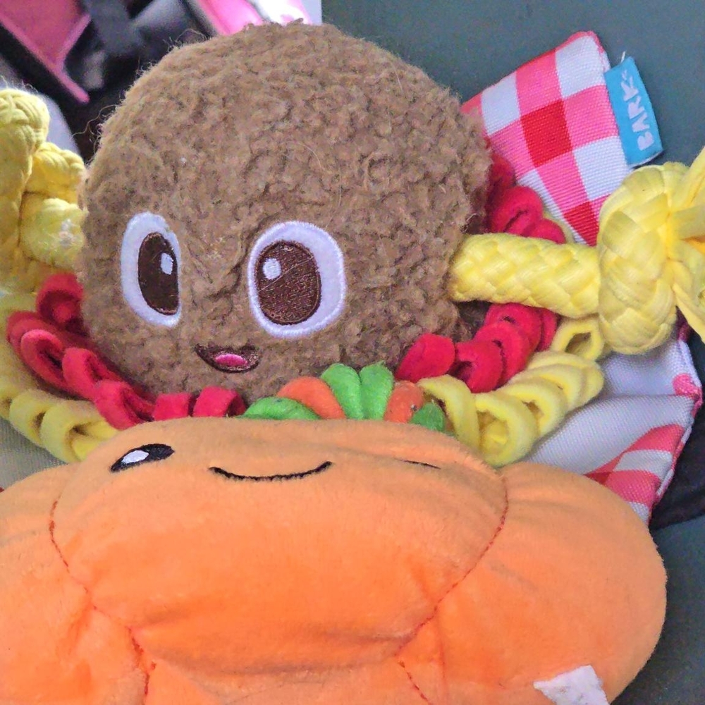 Bark Brown and Orange Plush Toy Set